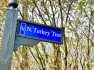 Photo of 65   North Turkey Trot 